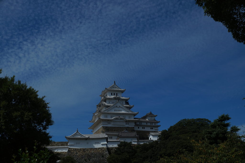 秋晴れと天守閣