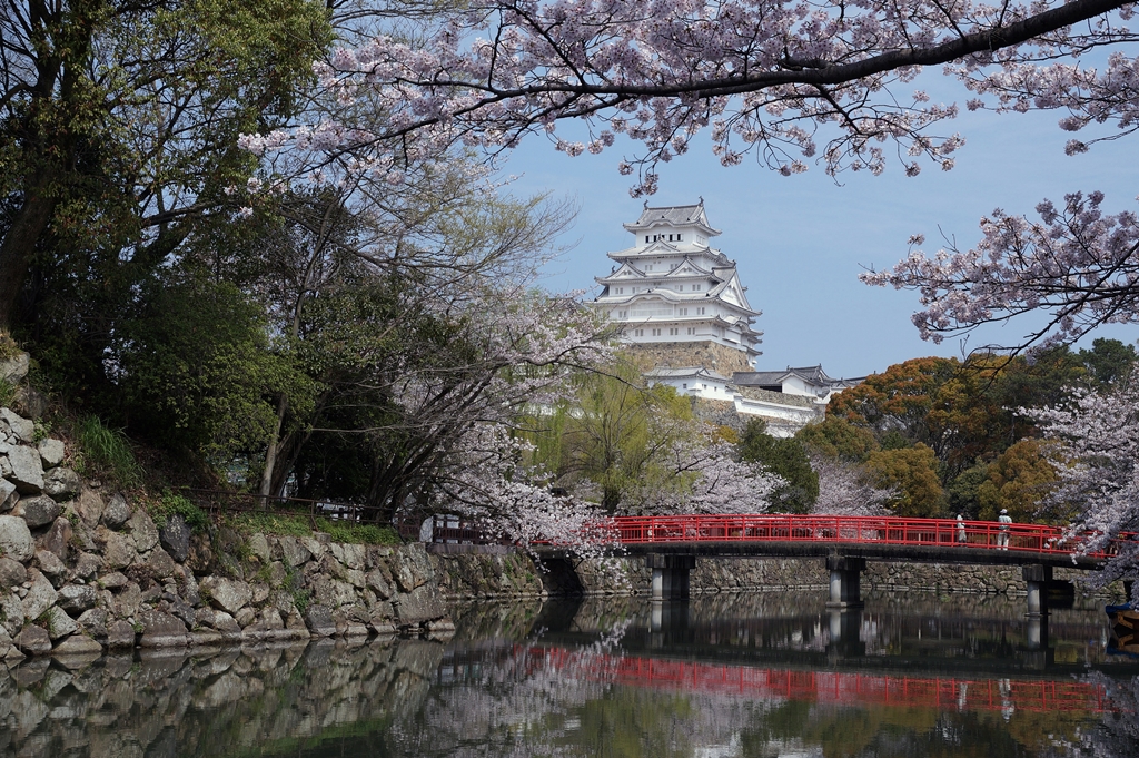 姫路城　内堀と桜