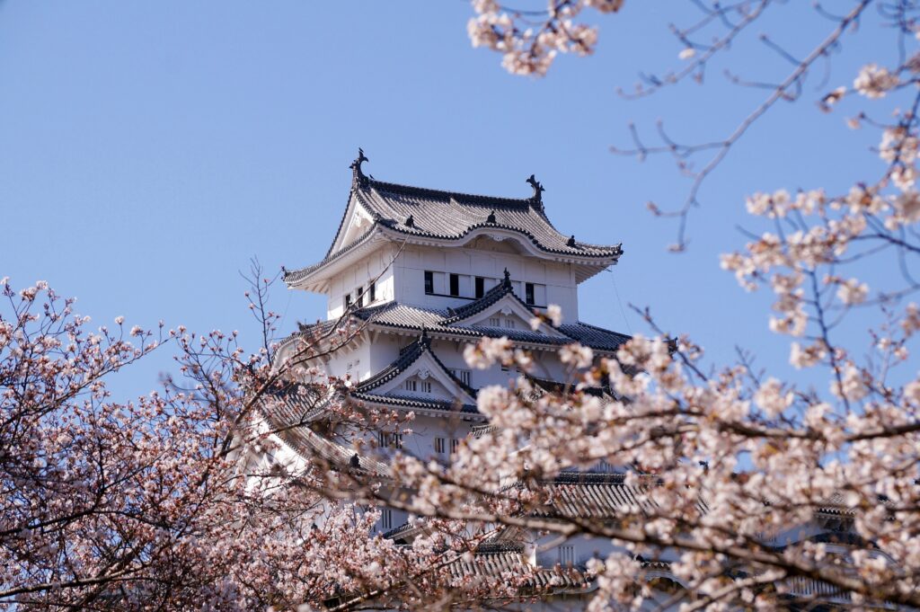 姫路城の2023年の桜